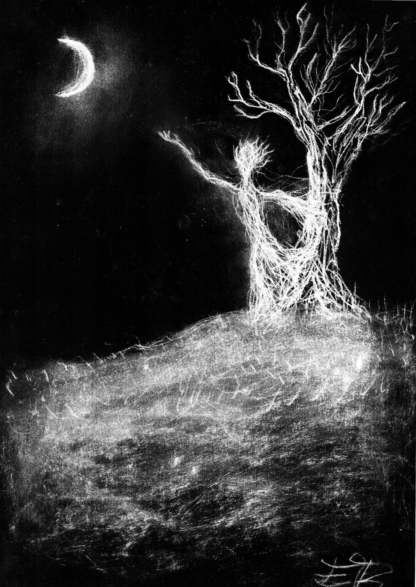 Night Nature — disegno di Erma Art